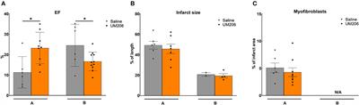 The Beneficial Effects of UM206 on Wound Healing After Myocardial Infarction in Mice Are Lost in Follow-Up Experiments